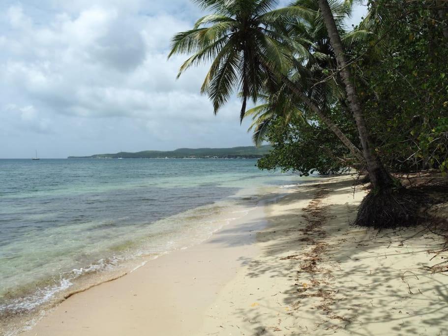 Katalea - Blue Dream, Plage, Piscine, Bar Grand-Bourg (Marie Galante) Esterno foto