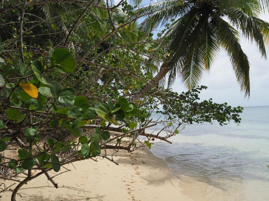 Katalea - Blue Dream, Plage, Piscine, Bar Grand-Bourg (Marie Galante) Esterno foto