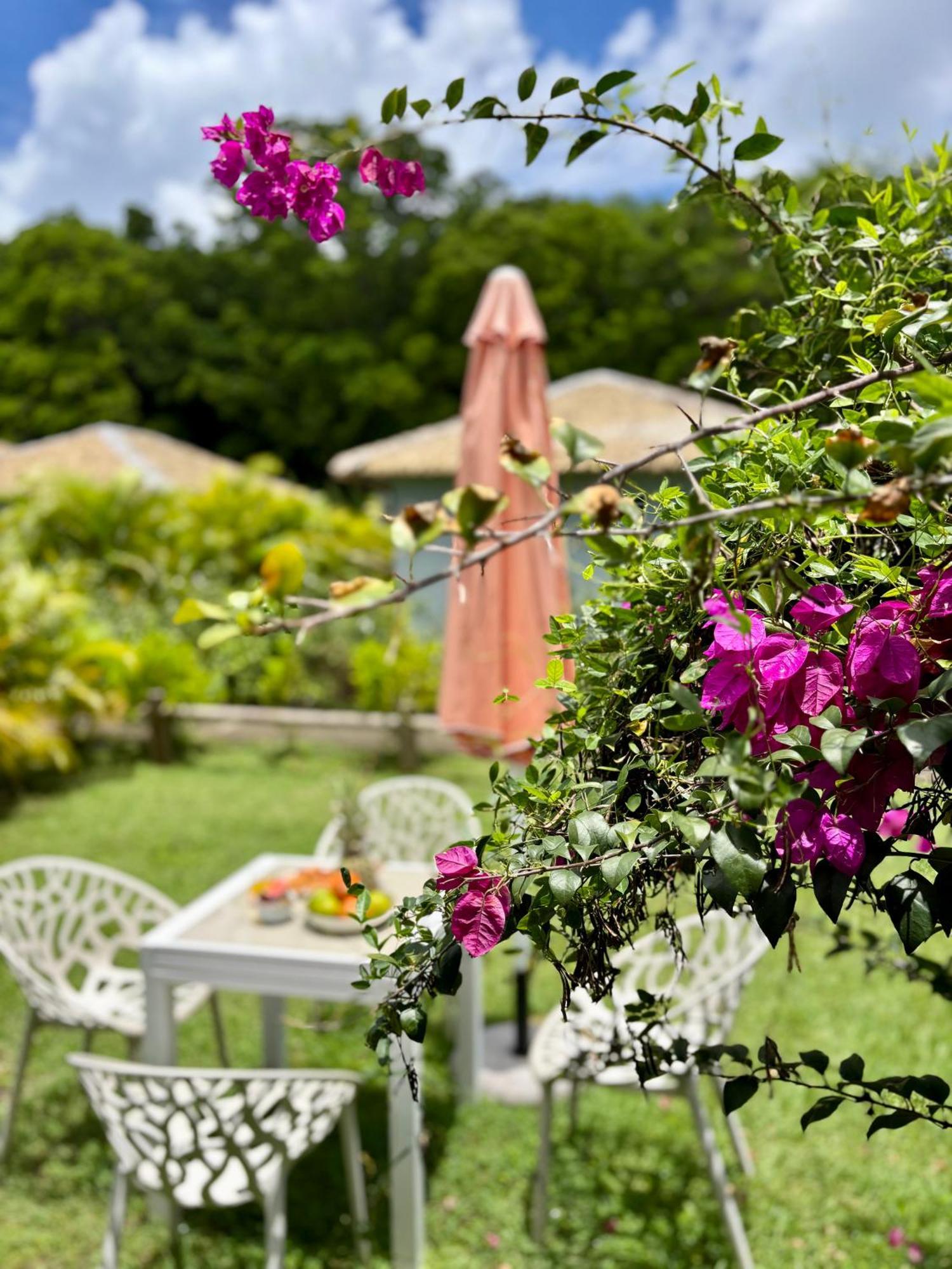 Katalea - Blue Dream, Plage, Piscine, Bar Grand-Bourg (Marie Galante) Esterno foto